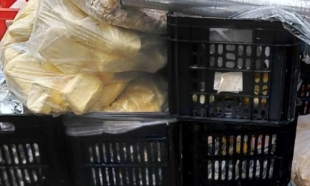 БАБХ конфискува и изпраща за унищожаване над 550 кг хранителни продукти във Варненско