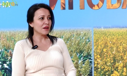 Конфекшън хибриди на NUSEED за 2025 г.