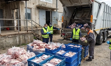 Над 7 тона развалено месо бяха унищожени след проверка в кланица в село Здравец