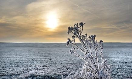 Валежи от дъжд и сняг