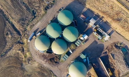 Емисиите на метан от животните – как да ги намалим ефективно и да запазим животните като важна част от екосистемата?