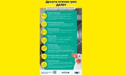 Без птичи грип: защитете своето стопанство!