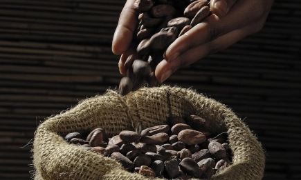 Кот д'Ивоар и Гана с ръст на производството на какао