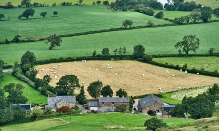Малките ферми в Словакия се чувстват онеправдани