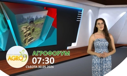В АГРОФОРУМ: Намаляващо поголовие и възможности за реализация - теми от Събора на овцевъдите 2026