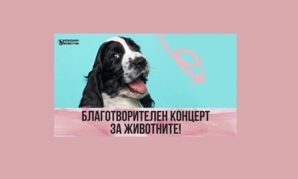 Благотворителен концерт-протест срещу насилието над животни събира българските изпълнители