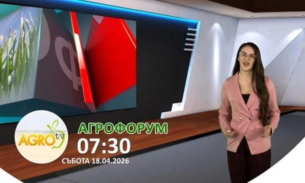 От овощарството до млекопреработката – ключови теми в новото издание на АГРОФОРУМ