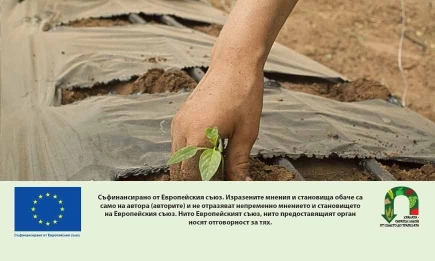 Стартира национална кампания за директни плащания 2026: Срещи със земеделци в шест области