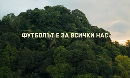 От Международния ден на риса до Световното по футбол: Защо опазването на горите е отборна игра