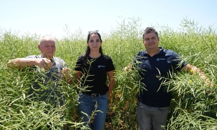 Пшеницата LID МАКУМБА - със заявка за шампионски резултати