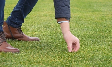 Трите истини за перфектното косене на трева – еп. 1