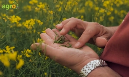 Bayer CropScience с рецепта за рентабилно производство на рапица
