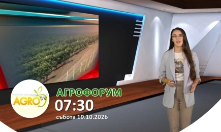 В АГРОФОРУМ: Ваксинация срещу шарка по дребните преживни или риск за износа: какво губи страната и какво печели секторът?  