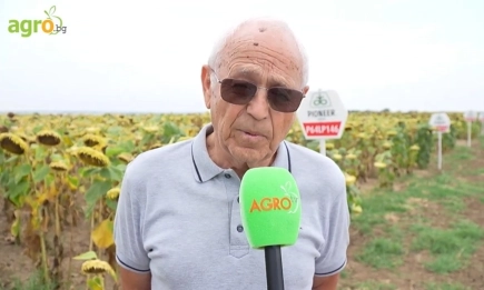 Две десетилетия доверие: стопанството на Симеон Бянов разчита на хибридите на Кортева