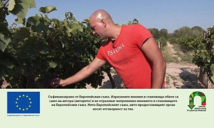 Дронове, сателити и вино: Иновациите на Даниел Русев в лозето