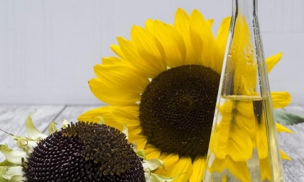 Русия временно спира митото върху износа на слънчогледово олио