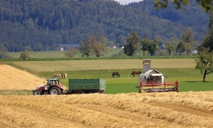 Лоша година за германския агросектор