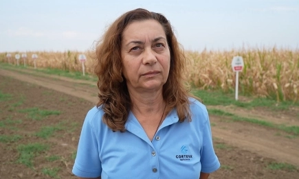 Нови хибриди и биологични решения в царевицата демонстрират сила при стресови условия край Русе