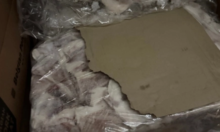 БАБХ конфискува и унищожи над 800 кг месо при мащабна проверка в склад в Луковит