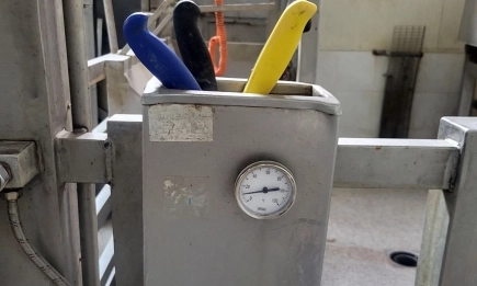 БАБХ затвори месопреработвателно предприятие в с. Лесидрен заради груби нарушения