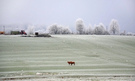 Очаква се застудяване, с валежи от сняг