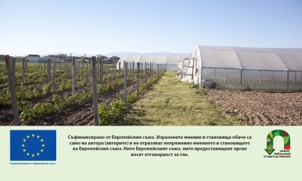 Комисията отпуска 7,4 млн. евро спешна подкрепа за земеделските стопани в България
