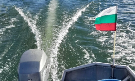 Над 100 кг калкан без документи хванаха да превозват край Добрич