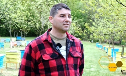 В пчелина на Теодор Пушкаров от с. Меляне, Монтанско