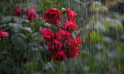 Очакват се валежи със стопанско значение