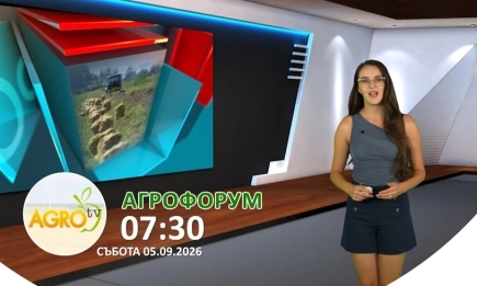 В АГРОФОРУМ: Напояването носи добавена стойност в модерното зеленчукопроизводство