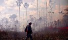 Джунглата гори, Болсонаро обвинява екоактивисти