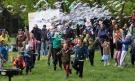 Денят на пчелите 2026 събира семейства и любители на природата в Южен парк