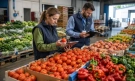 Над 500 проверки на плодове и зеленчуци за седмица: БАБХ откри нарушения