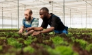 AgRI и храните 2040: ЕС насочва научните изследвания към реални решения за земеделието