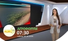 В АГРОФОРУМ: Ваксинация срещу шарка по дребните преживни или риск за износа: какво губи страната и какво печели секторът?  