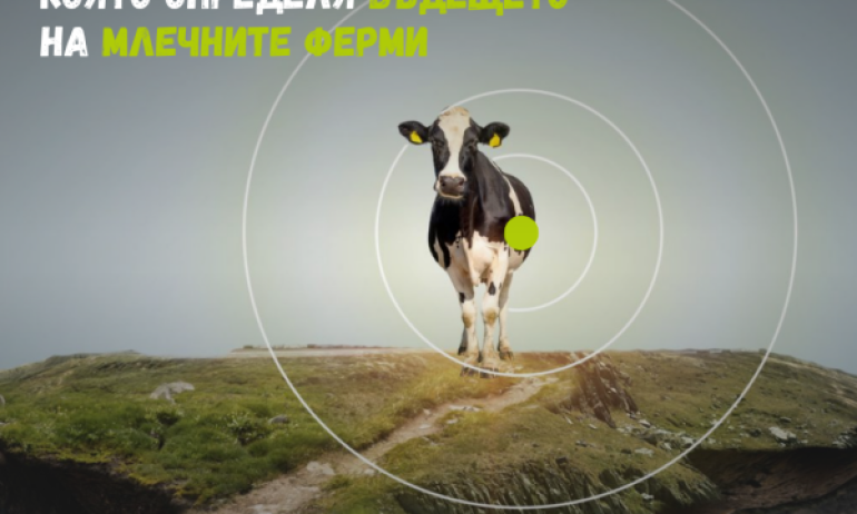 СТОЙЧЕВ КОНСУЛТ ЕООД