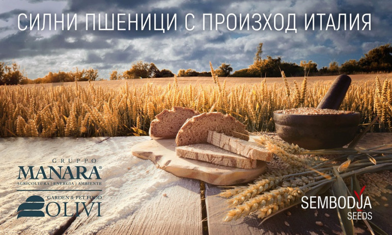 Манара Семена