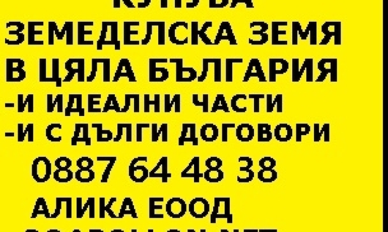 alo2_e6dfdde0729aa5598a62974e4084edf7.jpg
