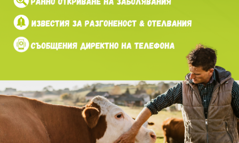 ednasistemamnogofunkcii900h600_cda22dbe60512c12bdcd908db3844c65.png